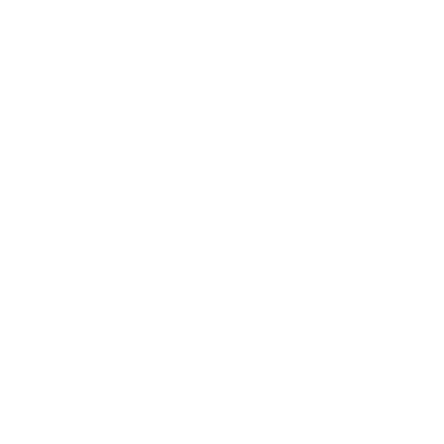 Domo Partner