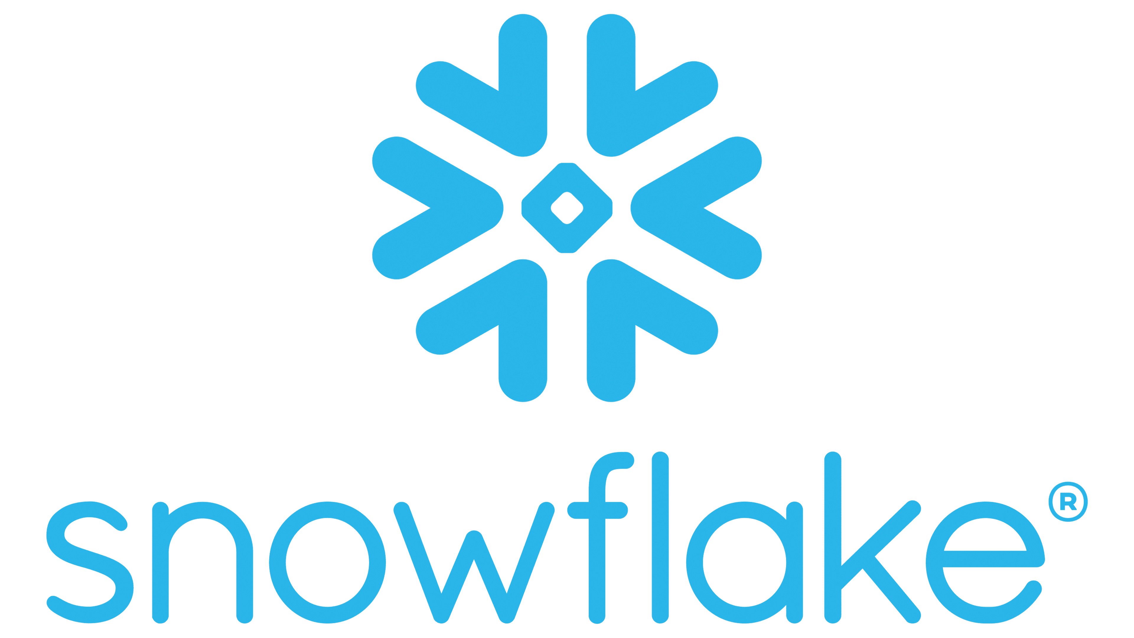 Snowflake Partner